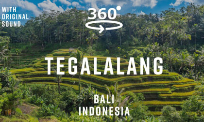 Tegalalang Rice Terrace – Bali, Indonesia 🇮🇩 | 360° Walking Tour | Original Sound