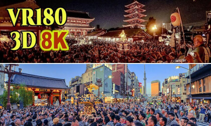 Evening joint procession of portable shrines at Sanja Matsuri Festival Day 2,2026 in Asakusa, Tokyo