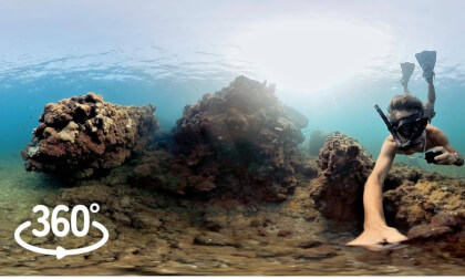 Sal Island, Cape Verde: Underwater