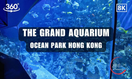 🌊 The Grand Aquarium - Ocean Park Hong Kong 2026 | 8K 360VR