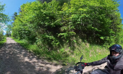 WILD - The Dirt Ridge (360° VR Action)