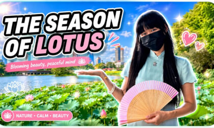 170,000 square meters of lotus pond