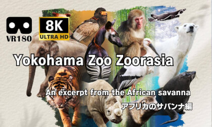 横浜動物園ズーラシア：Yokohama Zoo Zoorasia