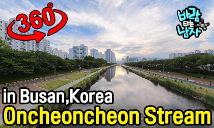 Oncheoncheon Stream in Busan, Korea, 360-degree video