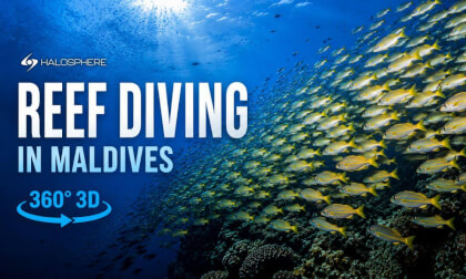 Reef Diving in Maldives 16K 360° VR 3D