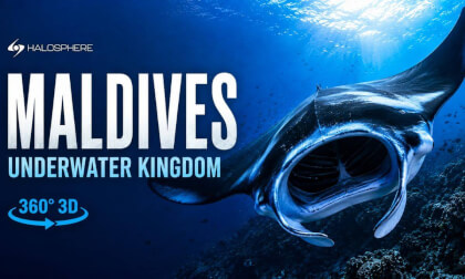 Whale Sharks, Manta Rays & Coral Reefs | Trailer 360° 3D