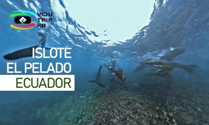 ISLOTE EL PELADO VR Video ISLOTE EL PELADO VR