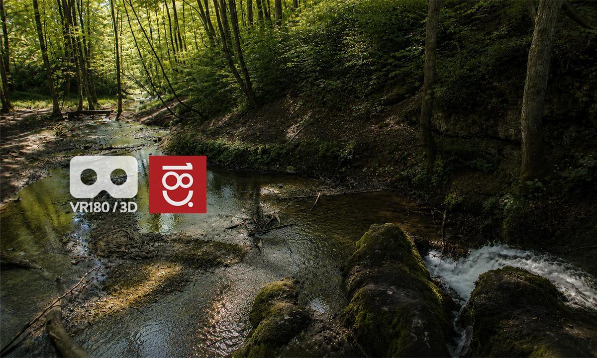 Relaxing 4 min Forest Stream with Natural Sounds