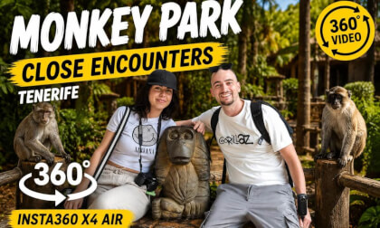 Monkey Park Tenerife in 360° 🐒 The CUTEST Experience in the Canary Islands!