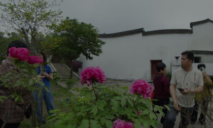南国牡丹花 雪峰寺美景