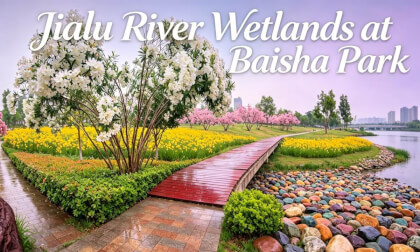 Jialu River Wetlands at Baisha Park
