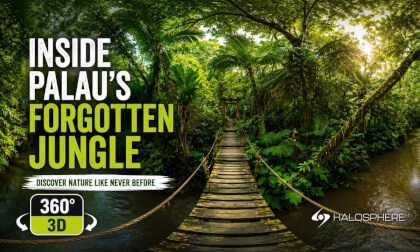 Palau’s Forgotten Jungle Exploration | 16K 360° 3D