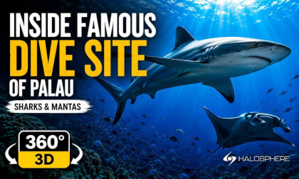 The Most Dangerous Dive Site in Palau | Sharks & Mantas