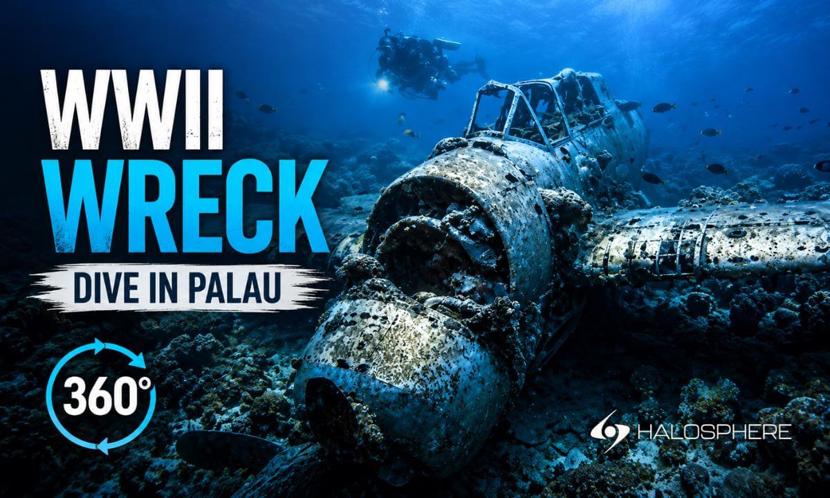 Hidden WWII Wreck Dive in Palau 16K 3D 360°