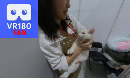 Cat exp-injected