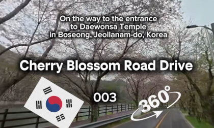 [360] Cherry Blossom Road Drive 003
