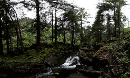 8K VR180 Irish Waterfall | Peaceful Gougane Barra Nature Experience