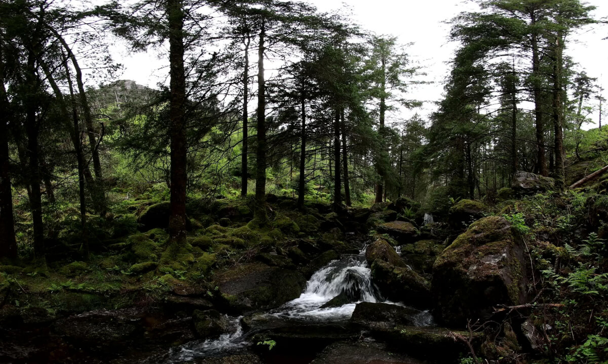 8K VR180 Irish Waterfall | Peaceful Gougane Barra Nature Experience