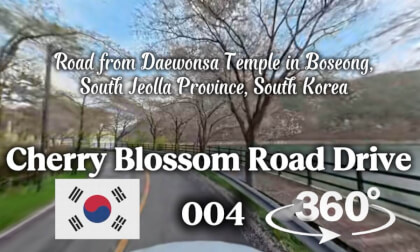 [360] Cherry Blossom Road Drive 004