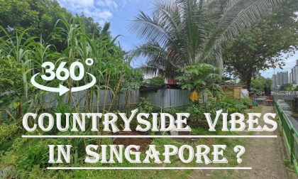 Old-School Kampung Vibes in Singapore | Ga Hock Eating House VR360