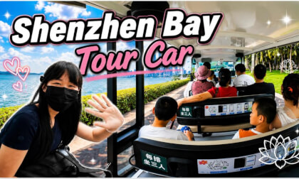 Shenzhen Bay Tour Car