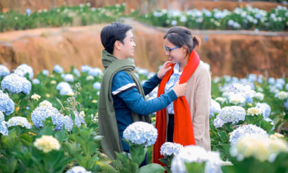 VUON HOA CAM TU CAU dalat