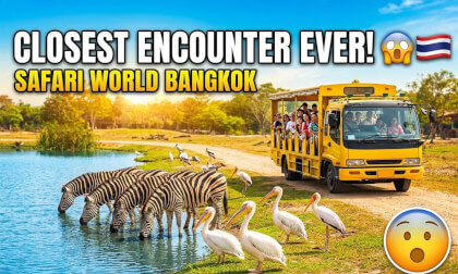 Ride Through Safari World Bangkok 🦁 | Safari Bus Tour | 8K 360° VR Thailand