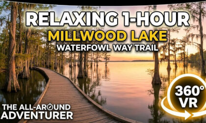 Millwood Lake, AR - Waterfowl Way