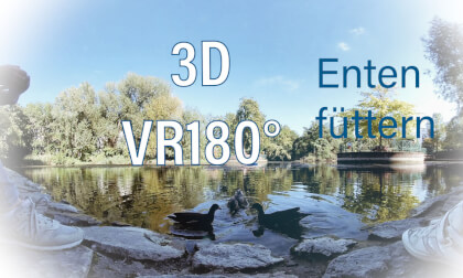 Enten Füttern Enten Füttern