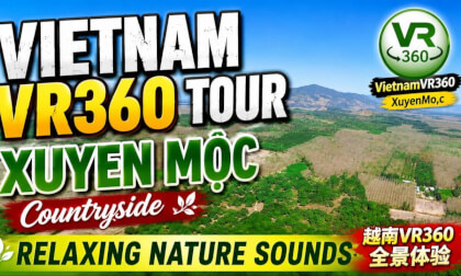 Vietnam VR360 Tour | Xuyên Mộc Countryside 越南乡村VR360体验 | Relaxing Nature Sounds