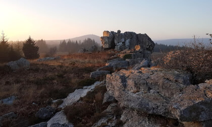 Les Monts d'Arrée vers  le Roc'h Cléguer en Bretagne