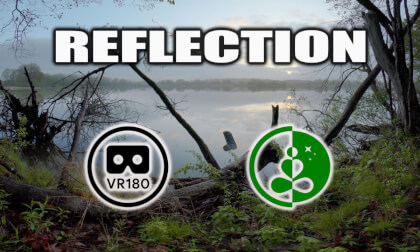Reflection | VR180 Nature Experience