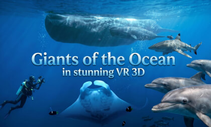GIANTS OF THE OCEAN IN 3D