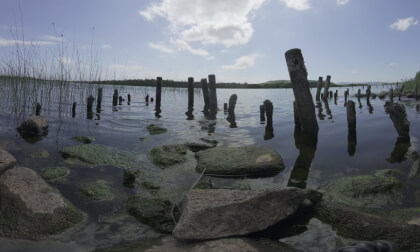 Naan Island - Upper Lough Erne