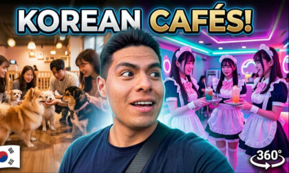 Crazy Korean Cafés 360° | Dog Café & Maid Café Experience