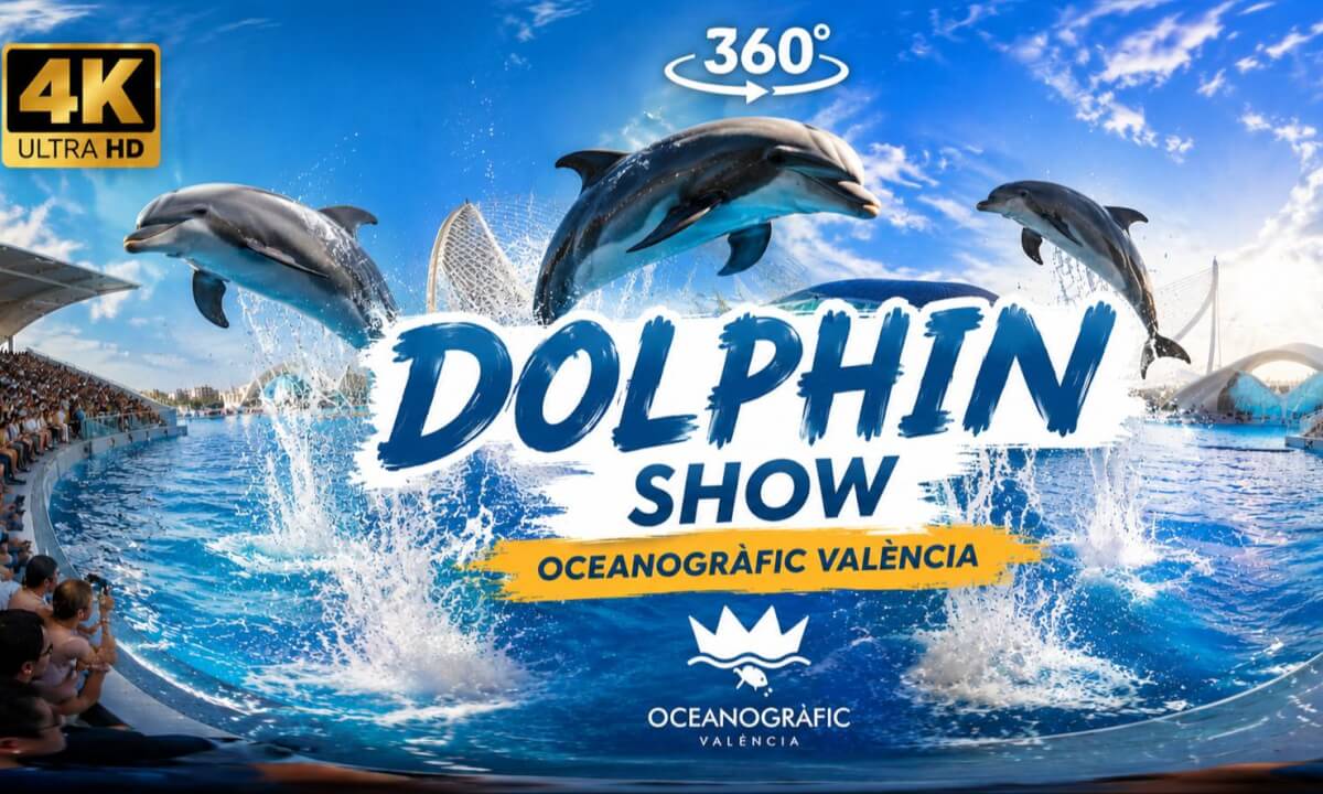 🐬 Dolphin Show in Valencia Oceanogràfic 🇪🇸 | 360° VR Experience in 4K Ultra HD | ASMR