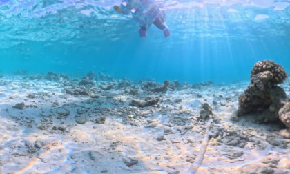 Underwater Oaga Art resort reef - Maldives