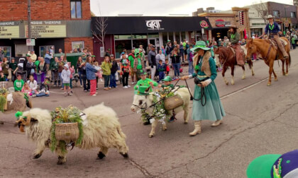 St. Patrick's Day Parade - farm animals and lots of people (Blackmagic URSA Cine Immersive)