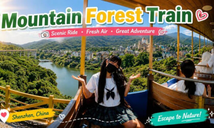leisure and relaxation｜Mountain Forest Train