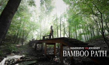 Bamboo Path | Walking Through A Bamboo Forest 漫步竹林  [8K VR180]⁠
