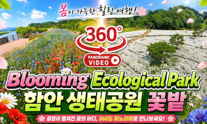 Akyang Ecological Park 360° Virtual Tour – Haman, Korea (May 15, 2026) 함안 악양생태공원 360도 파노라마 영상
