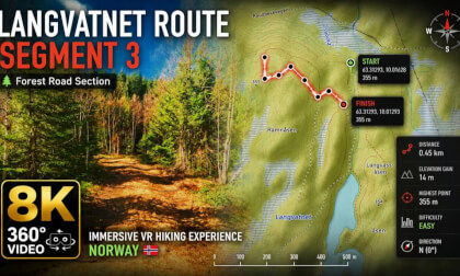 8K 360° VR Forest Road Hike | Langvatnet Route – Segment 3 | Norway