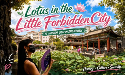"Little Forbidden City" in Shenzhen