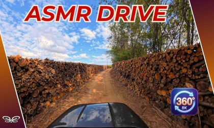 8K VR 360 Relaxing Countryside Drive: Brazilian Farms & Nature ASMR