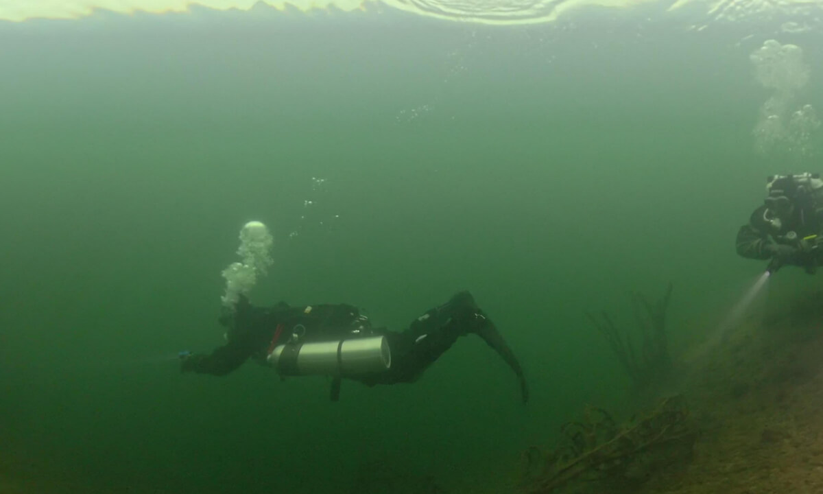 Into the Dark Quarry: Hidden Underwater Life