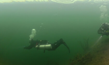 Into the Dark Quarry: Hidden Underwater Life