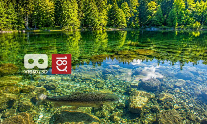 Trouts Lake. Bavaria. Quiet and relaxing 3 minutes VR180