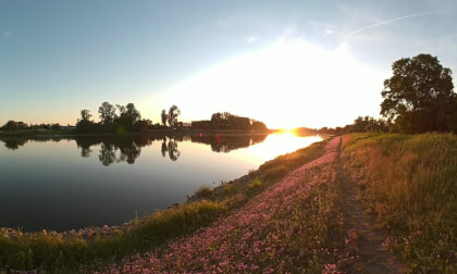 Walking into the Sunset by the Elbe
