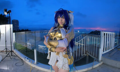 Perquisite Coser Versus Hobbyist Pro Bono Pubilico