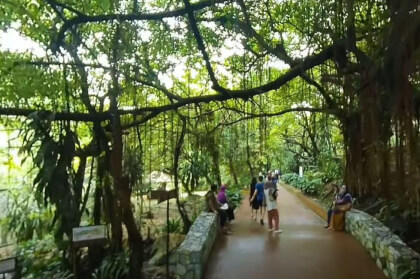 180 VR - Malaysia 2023 - Kuala Lumpur - Bird Park - part 1/2 VR Video 180 VR - Malaysia 2023 - Kuala Lumpur - Bird Park - part 1/2 VR